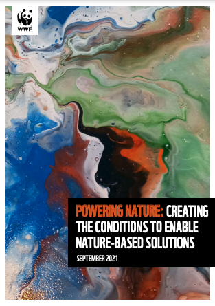 Powering Nature: Creating the Conditions to Enable Nature-based Solutions 